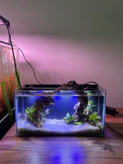 (Category: ) located in . Submitted by fayaaastore (Listing ID 1251763278, Image 1). Description: .
