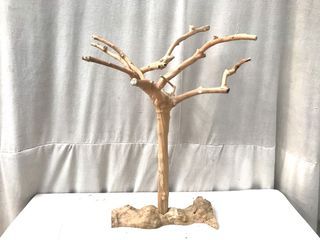Beautifully handcrafted Natural Coffee wood tree with natural wood base.