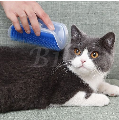 Cat self sale grooming brush