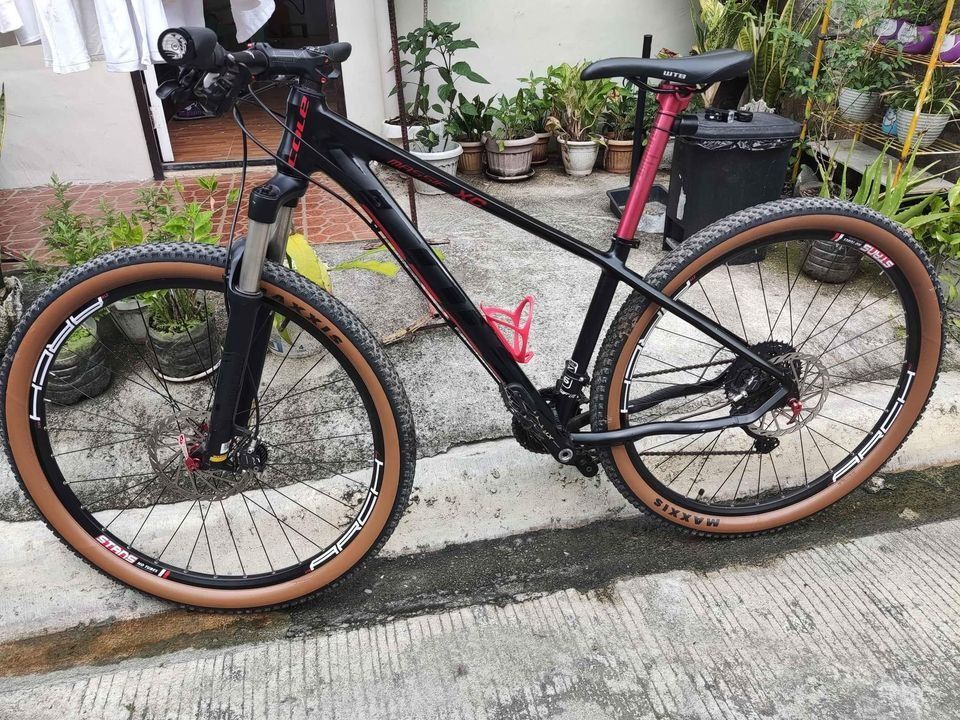 Cole shop massif 29er