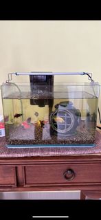 (Category: ) located in . Submitted by shaz.latte (Listing ID 1251782045, Image 1). Description: .