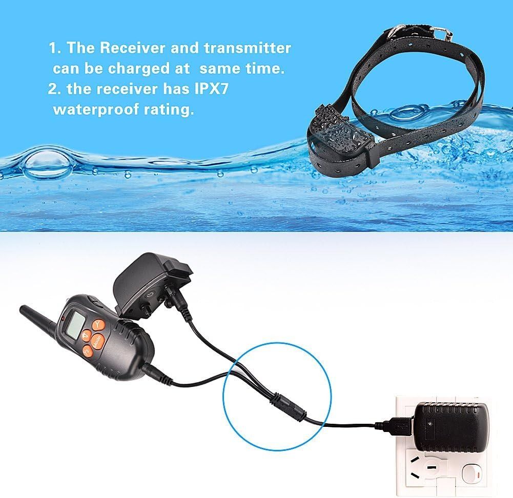 Pet liner store shock collar