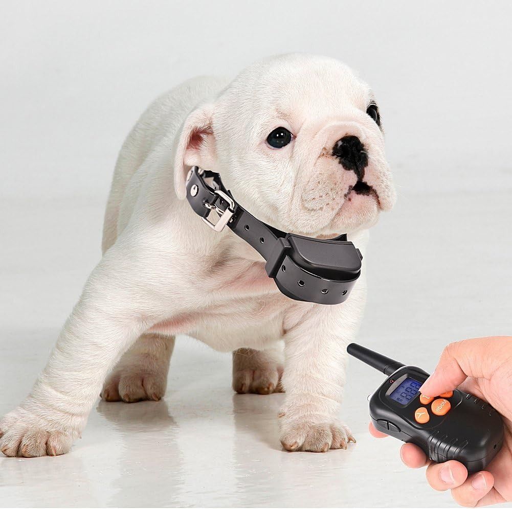 Harmless No Bark Dog Training Collar Rechargeable Waterproof Dog