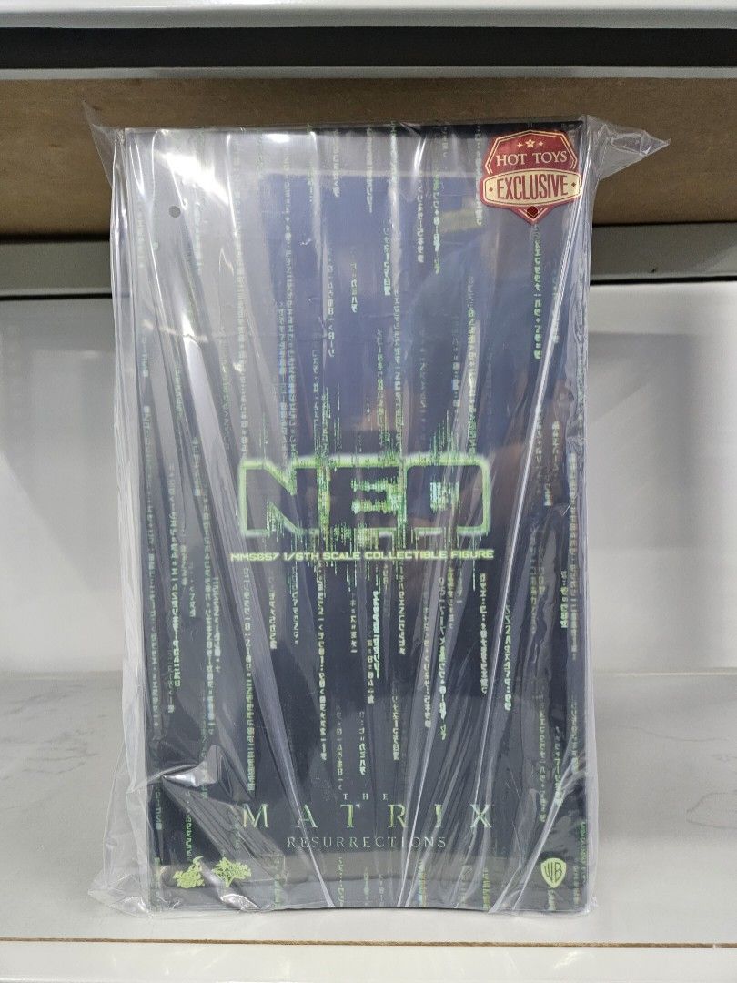 Hottoys MMS 657 The Matrix Resurrections Neo, 興趣及遊戲, 玩具 & 遊戲類 - Carousell