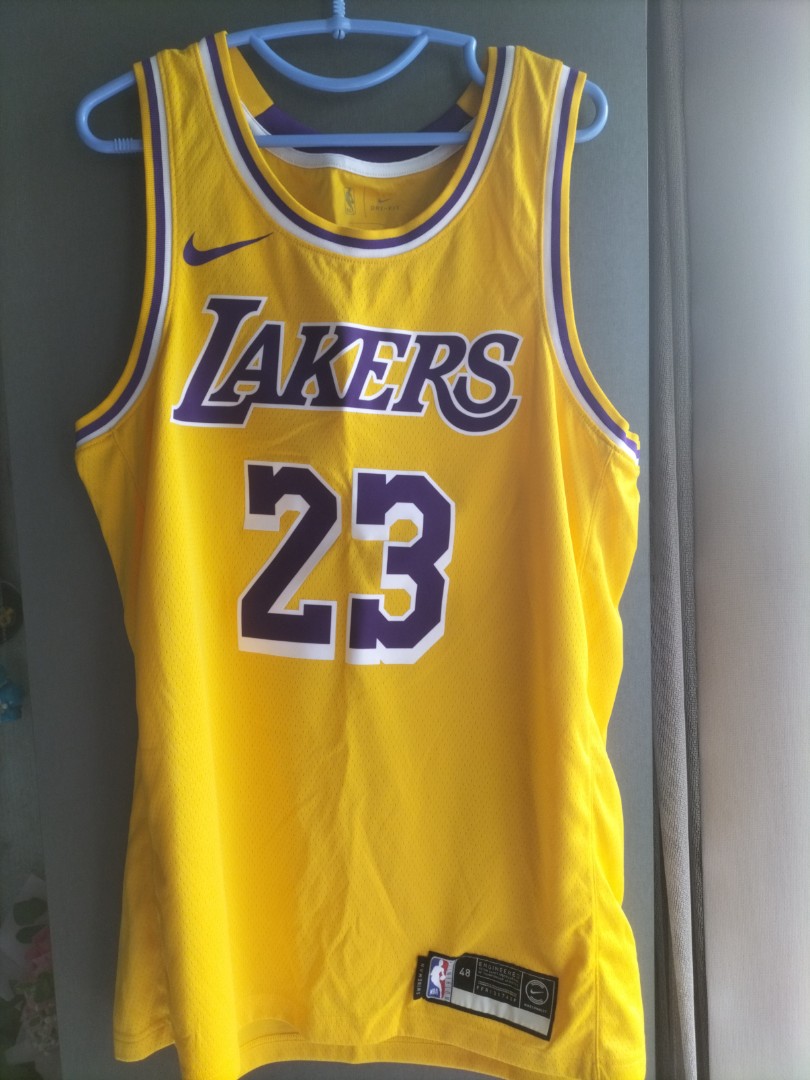 Authentic BNWOT LeBron James 6 Los Angeles Lakers Nike NBA Icon Authentic  Jersey, Men's Fashion, Activewear on Carousell