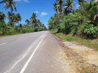Lot for sale in siargao