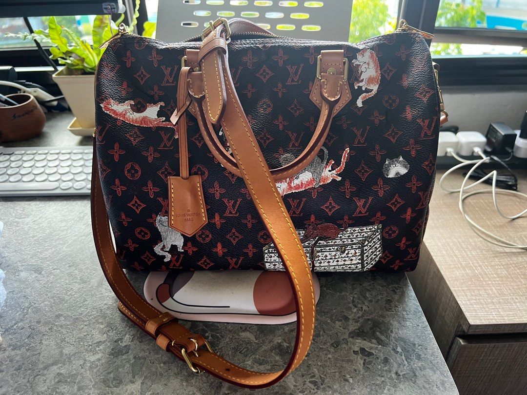 Louis Vuitton Catogram Bandoulier Speedy