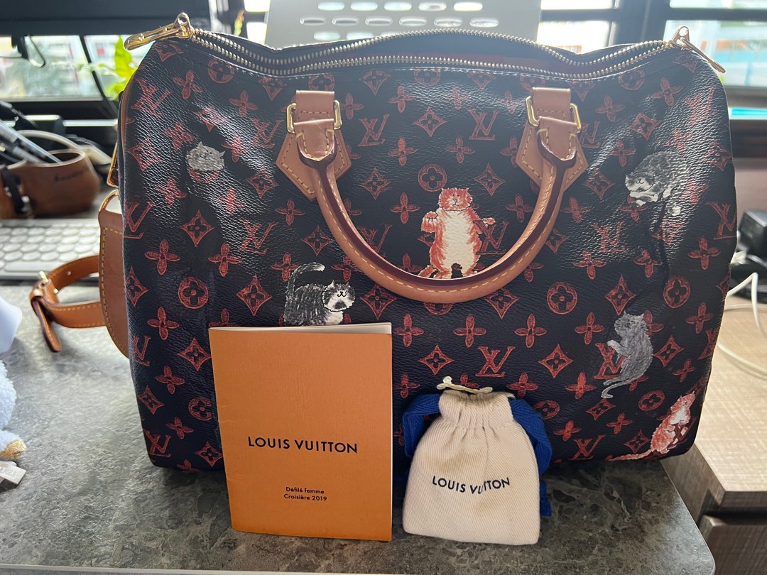 Louis Vuitton Catogram Bandoulier Speedy, Luxury, Bags & Wallets