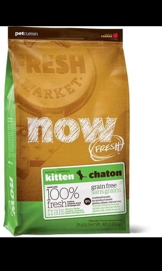 Now hot sale fresh kitten