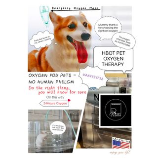 (Category: ) located in . Submitted by rmullerpawspetoxygenanddental (Listing ID 1251817837, Image 1). Description: .