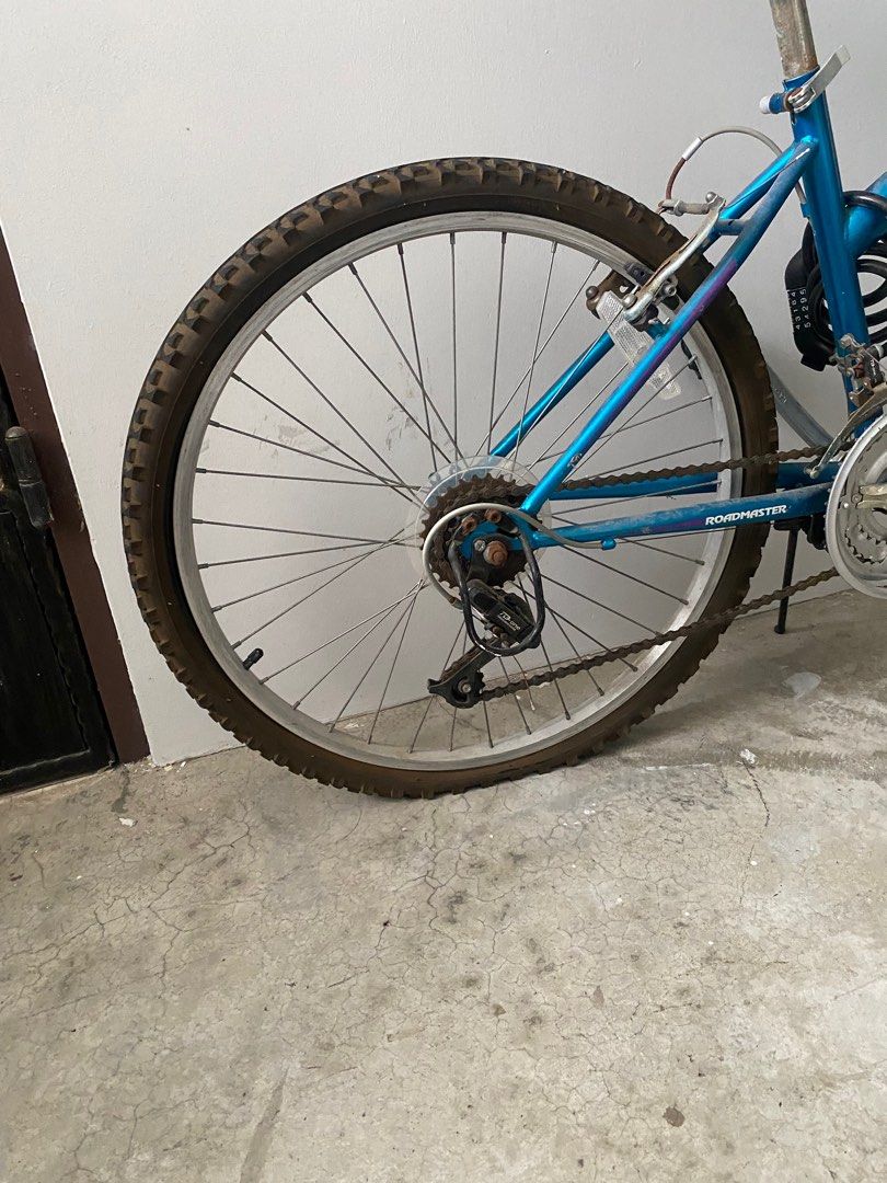 Schwinn roadmaster 2025