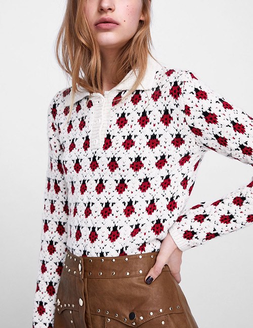 Zara Ladybug Sweater / M, Women's Fashion, Tops, Longsleeves on Carousell