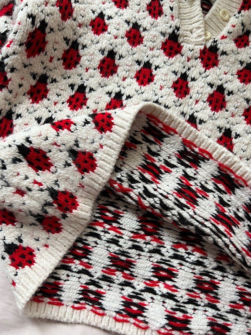 Zara ladybug sweater 2025