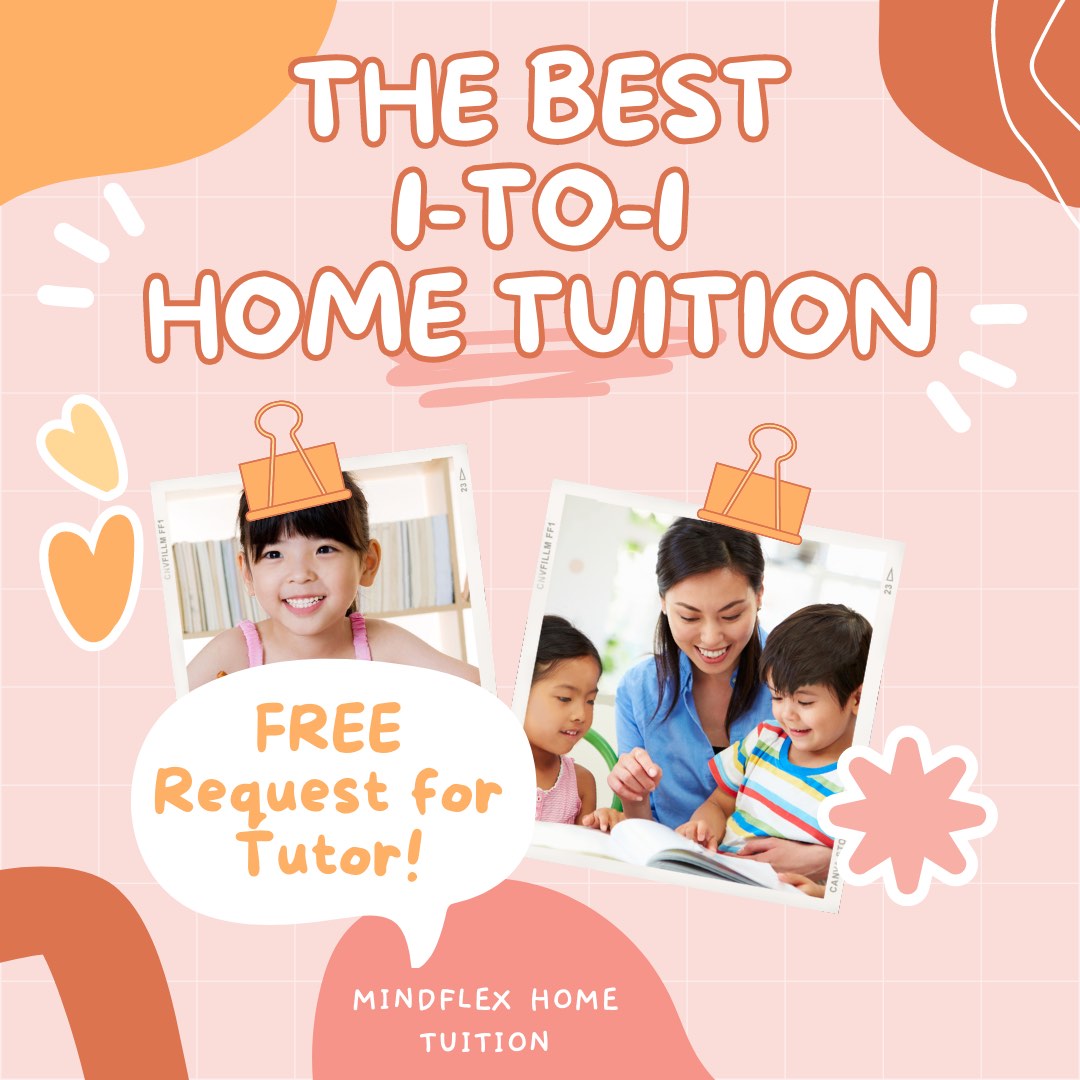 1-To-1 Home Tuition Tutor - PSLE O N A Level Pri Primary P1 P2 P3 P4 P5 ...