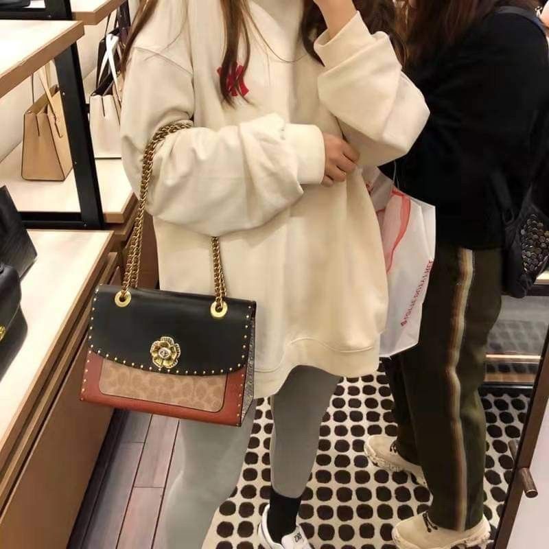 COACH PARKER 18 IN SIGNATURE CANVAS COACH 34256
