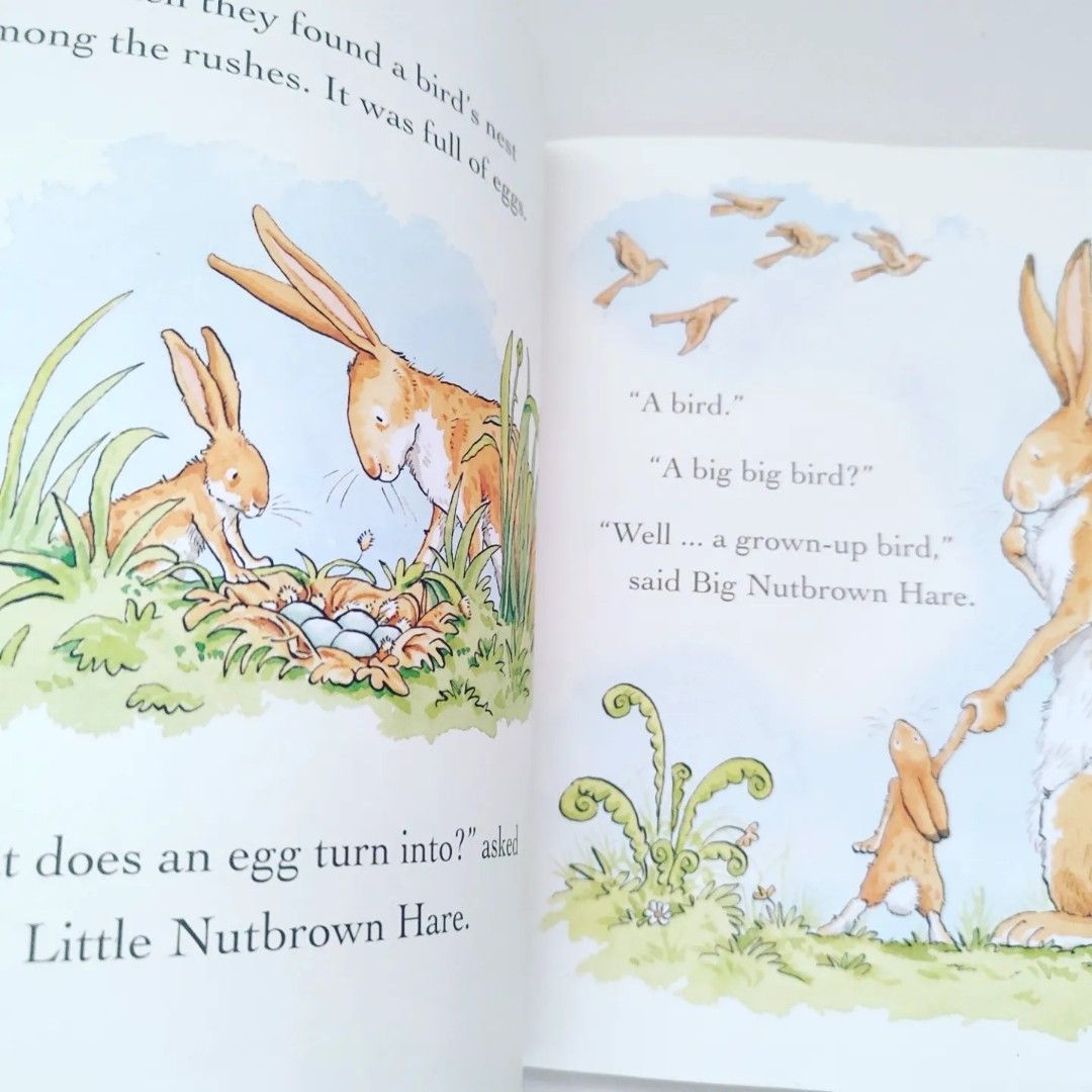 Guess How Much I Love You All Year Round Book on Carousell