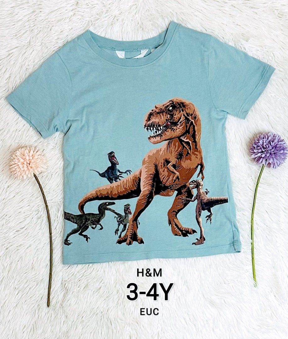H and m dinosaur sales
