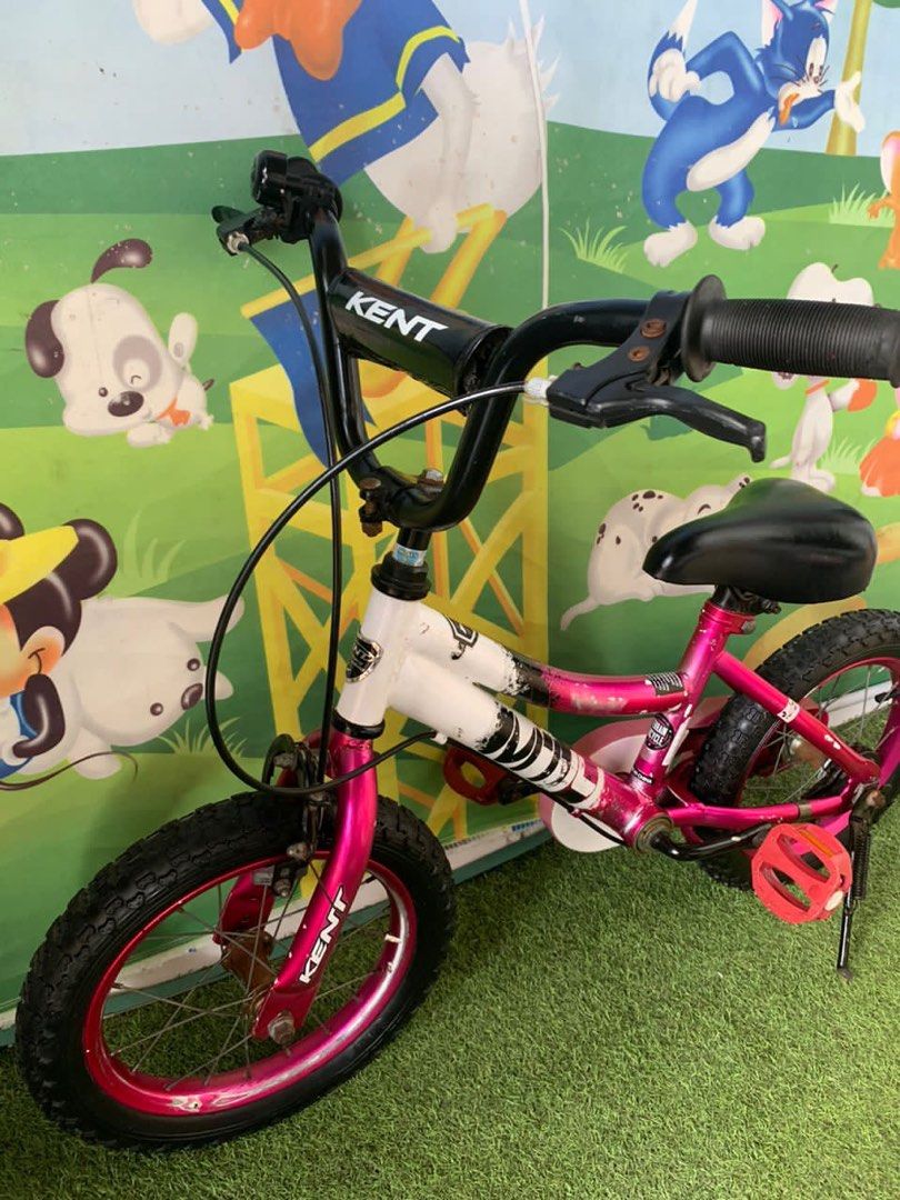 Kent pro 20 bike best sale