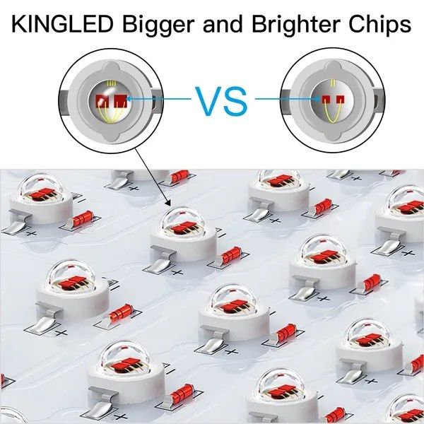 King plus led grow light full spectrum clearance for greenhouse indoor plant veg and flower