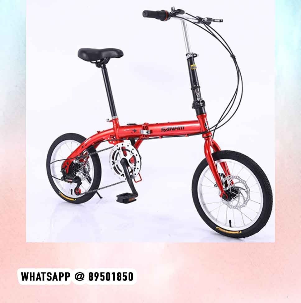 Rallies cycle 29 inch price 2025