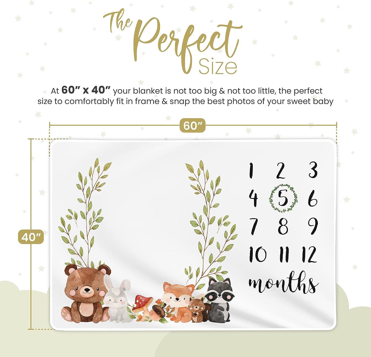 Paishanas Baby Milestone Blanket for Boy Girl Super Soft Premium Fleece Months Blankets Baby Shower Gender Neutral Gifts Photography Backdrop 60