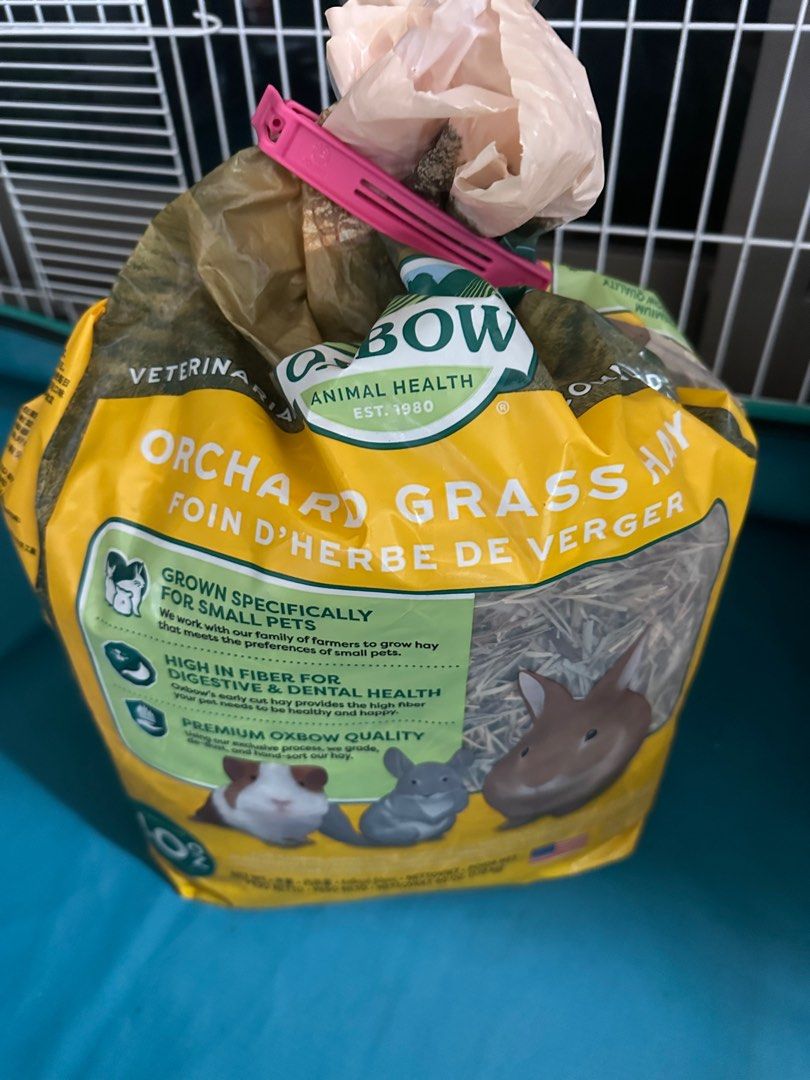 Orchard hay hotsell for guinea pigs