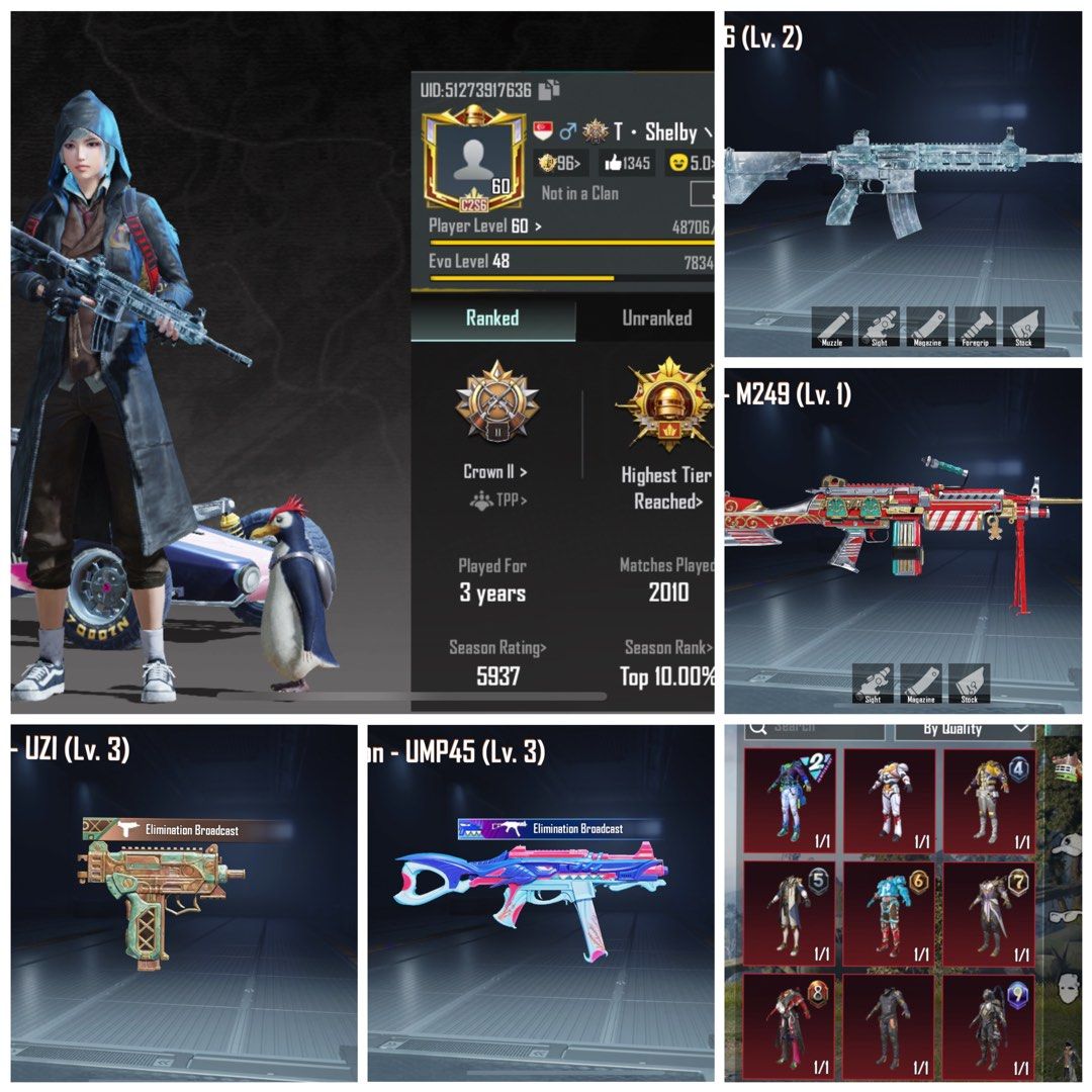 Pubg account for Sale, Video Gaming, Video Games, Others on Carousell