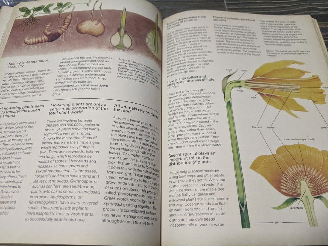 1500 FASCINATING FACTS BOOK visual data 4
