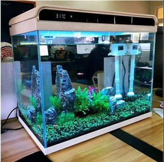 (Category: ) located in . Submitted by renson90 (Listing ID 1251919152, Image 1). Description: .