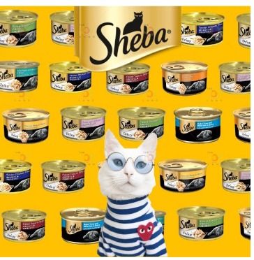 Sheba cat store food quality