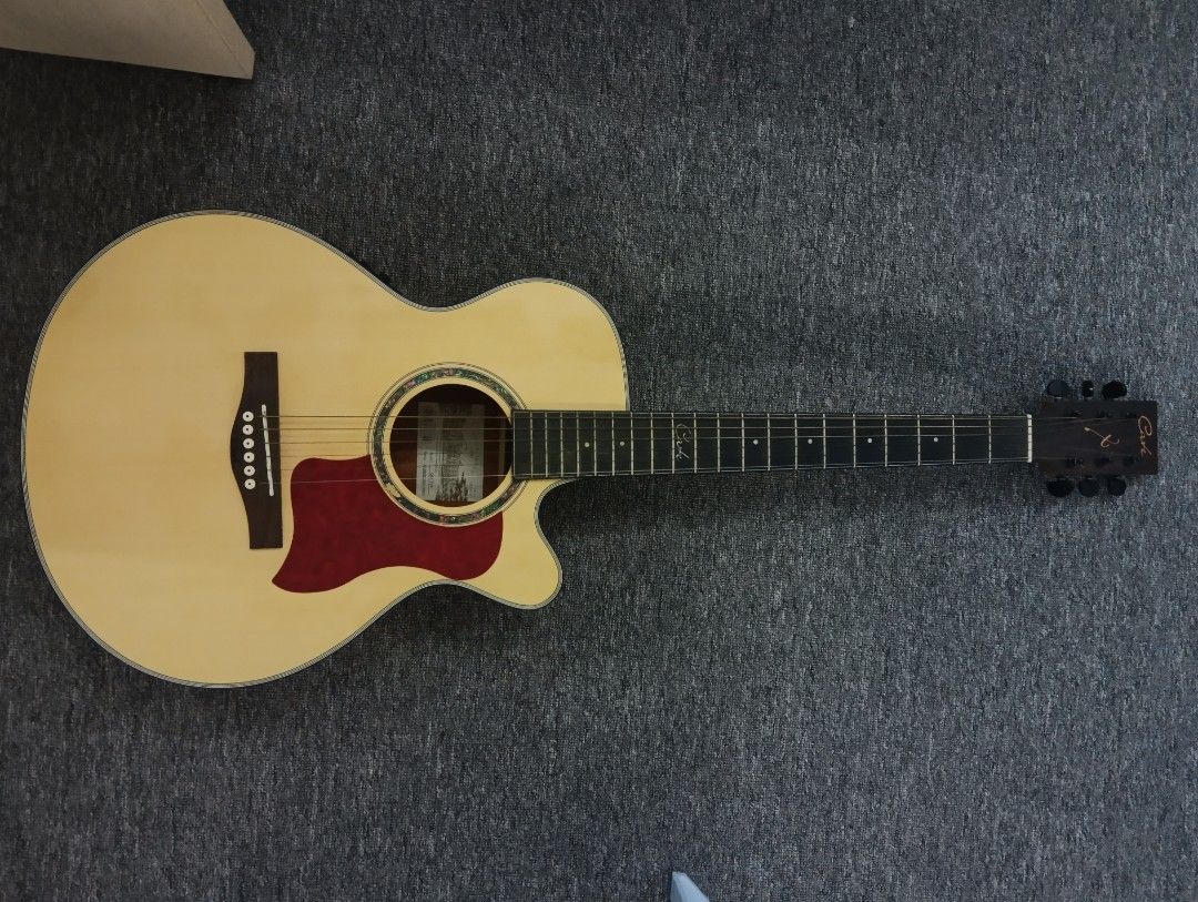 Cate acoustic guitar (plugin), Hobbies & Toys, Music & Media, Musical Instruments on Carousell