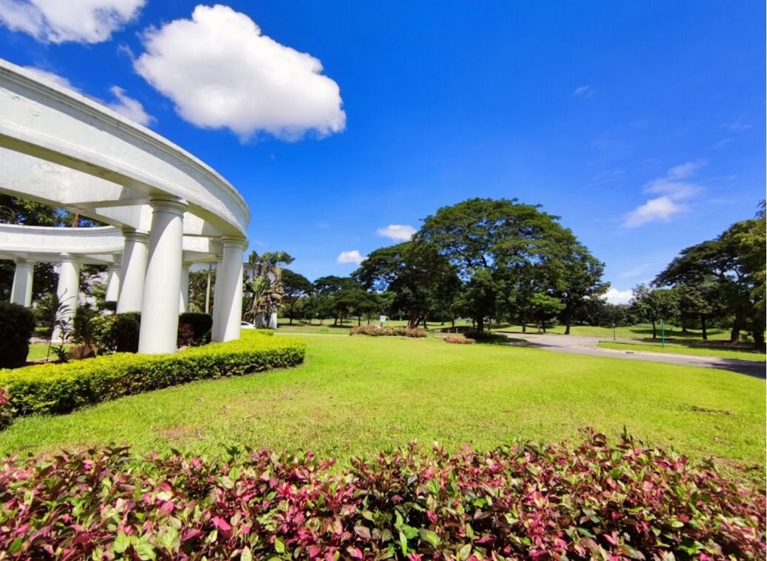 Great Corner Lot For Sale In Manila Southwoods Residential Estate