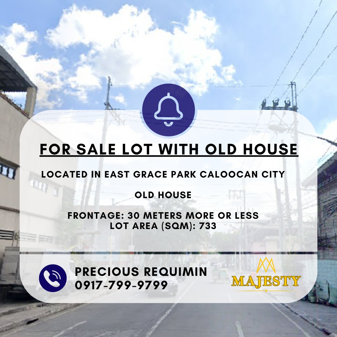 FOR SALE LOT WITH OLD HOUSE IN EAST GRACE PARK CALOOCAN CITY, Property