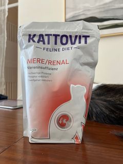 （分類：）位於 。 由 noahslovefoundation 提交（商品編號 1251873641，圖片 1）。簡介： 。