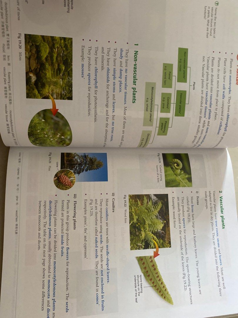 New Senior Secondary Mastering Biology 3 , 興趣及遊戲, 書本 & 文具, 教科書 - Carousell