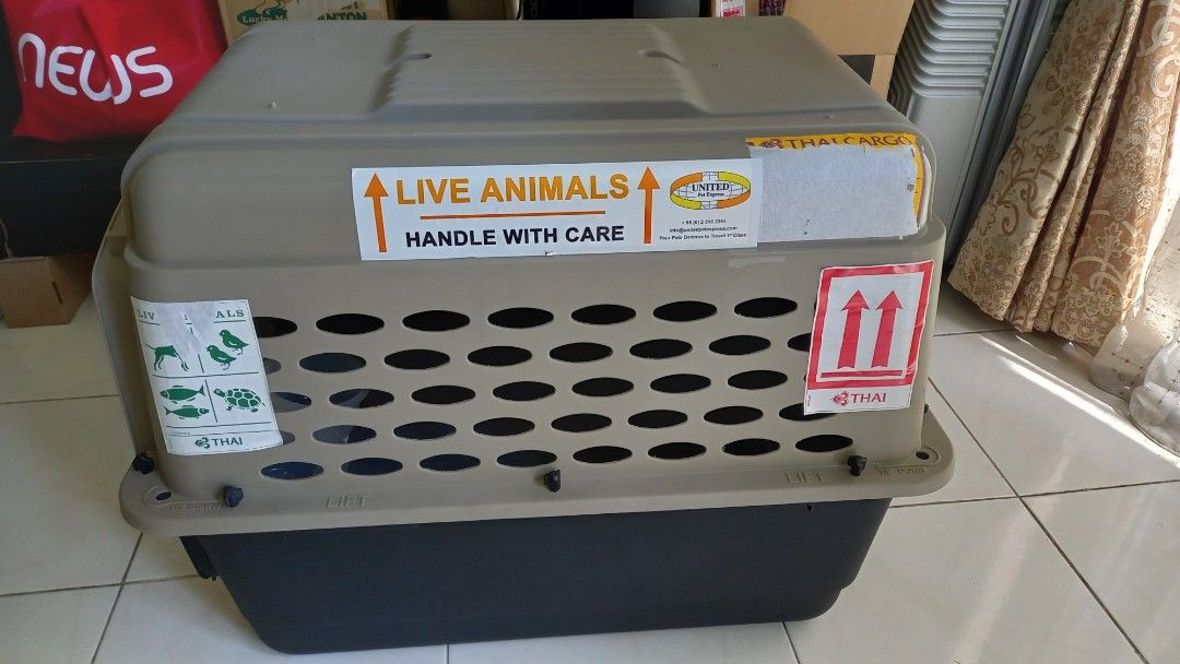 Grreat choice outlet dog carrier sizes