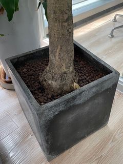 （分類：）位於 。 由 jcf172 提交（商品編號 1251871587，圖片 1）。簡介： 。