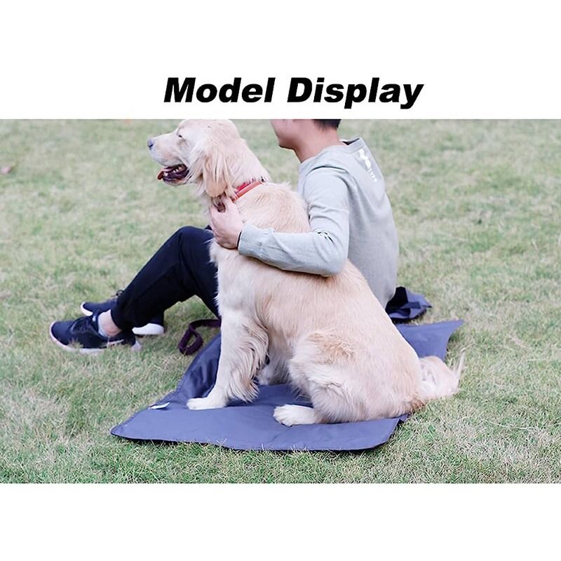 Electric cooling clearance mat for dogs