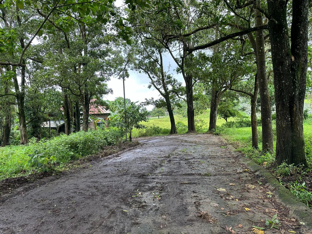 Residential Lot For Sale, Property, For Sale, Lot on Carousell