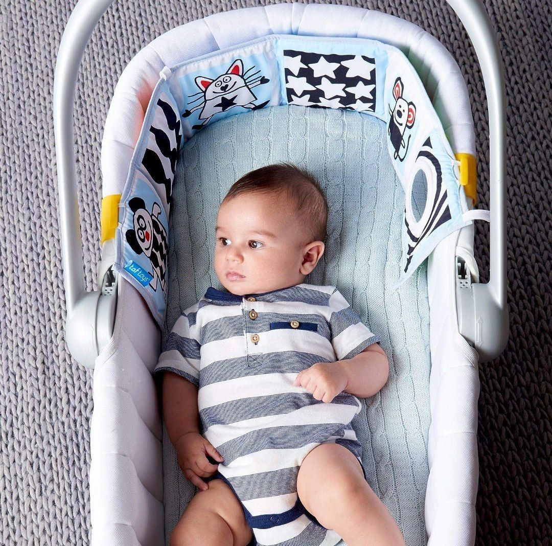 Taf toys clip on pram book 2025