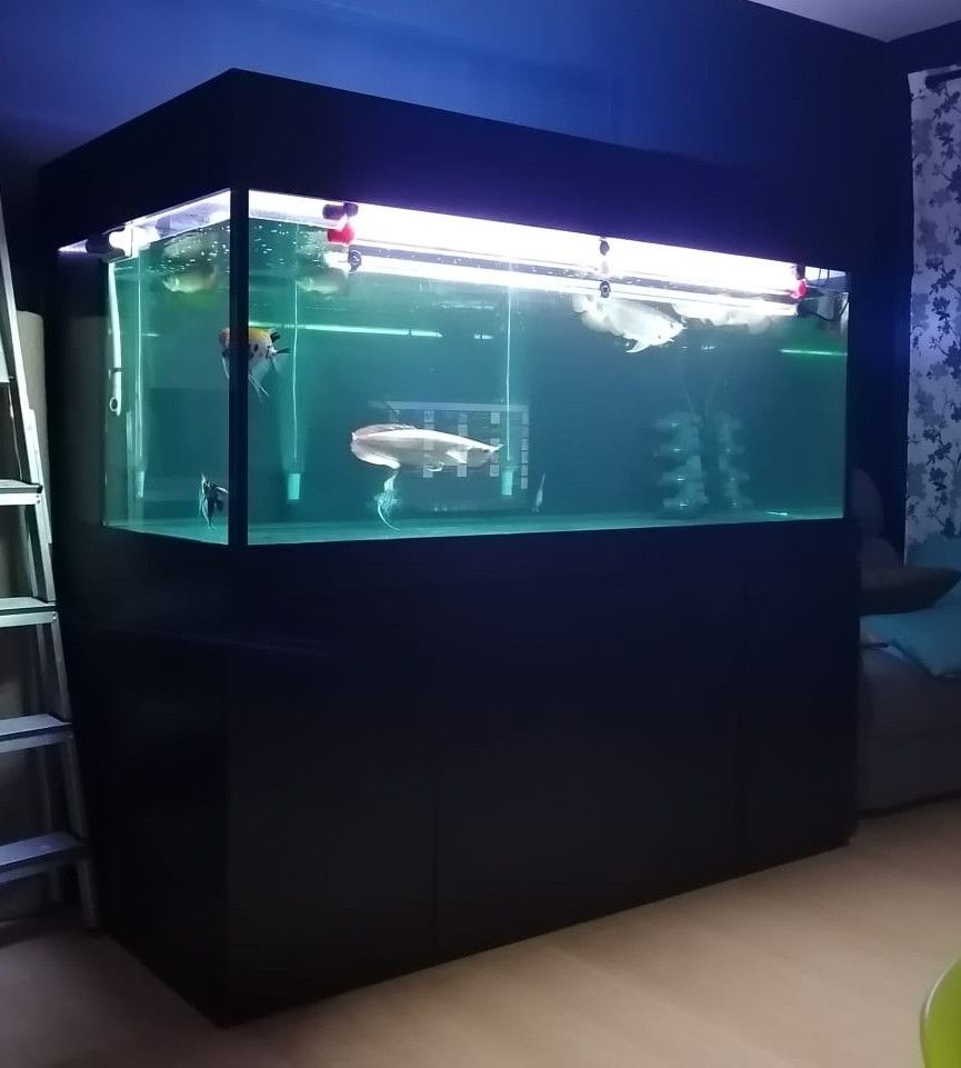 6ft Fish Tank with Sump tank Aquarium, Pet Supplies, Homes & Other Pet Accessories on Carousell
