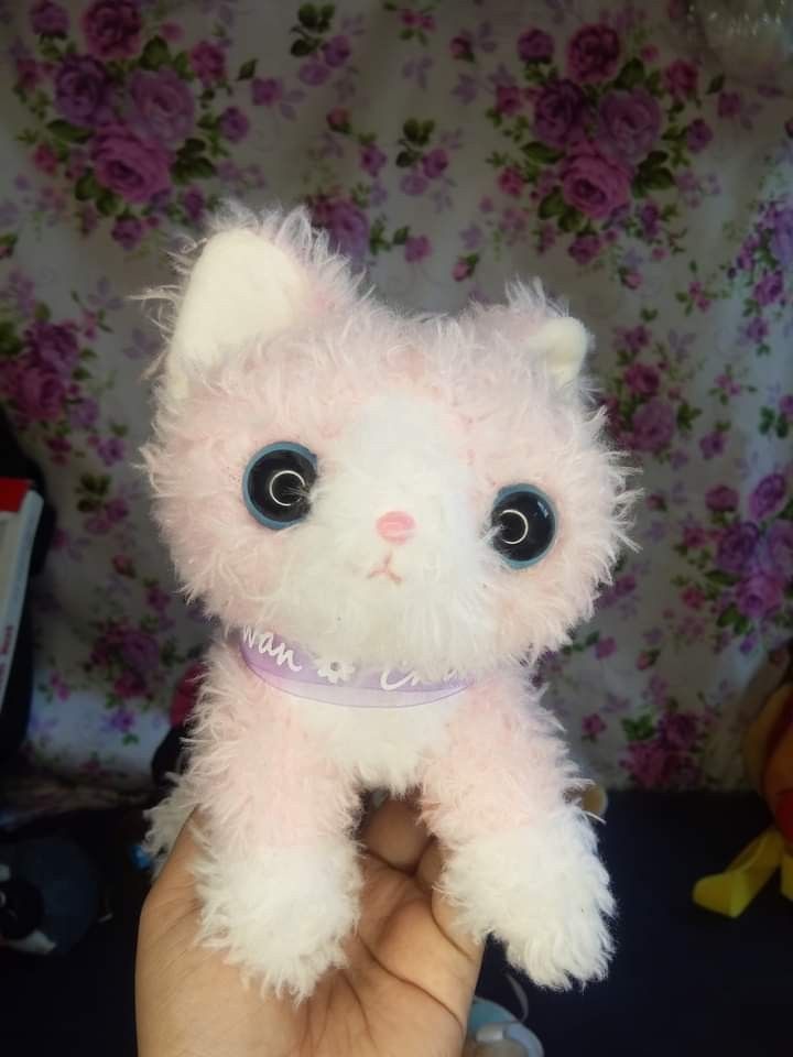 Amuse Chibi Neko Powan cat plush
