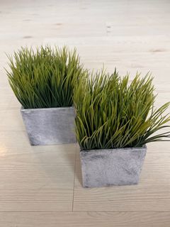 Artificial grass plant decor from our home
