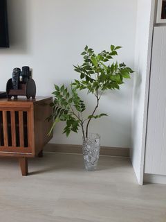 (Category: ) located in . Submitted by stellahm (Listing ID 1252030447, Image 1). Description: .