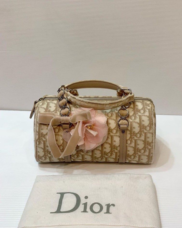 Christian dior mini store