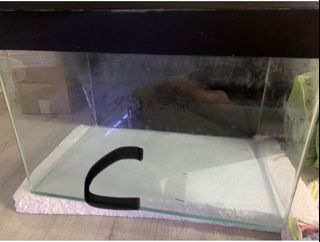 (Category: ) located in . Submitted by chachaco (Listing ID 1252093921, Image 1). Description: .