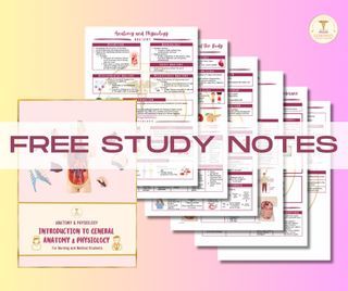 Anatomy and Physiology Study Notes/Guide/Reviewer (PDF ONLY) | Seeley’s 12th Edition