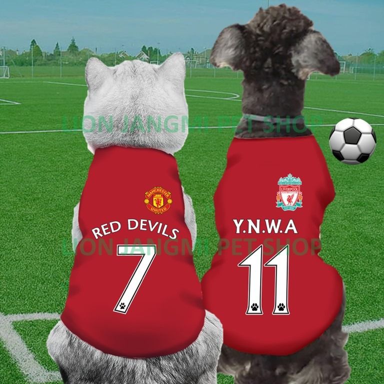 Liverpool dog clothes cheap