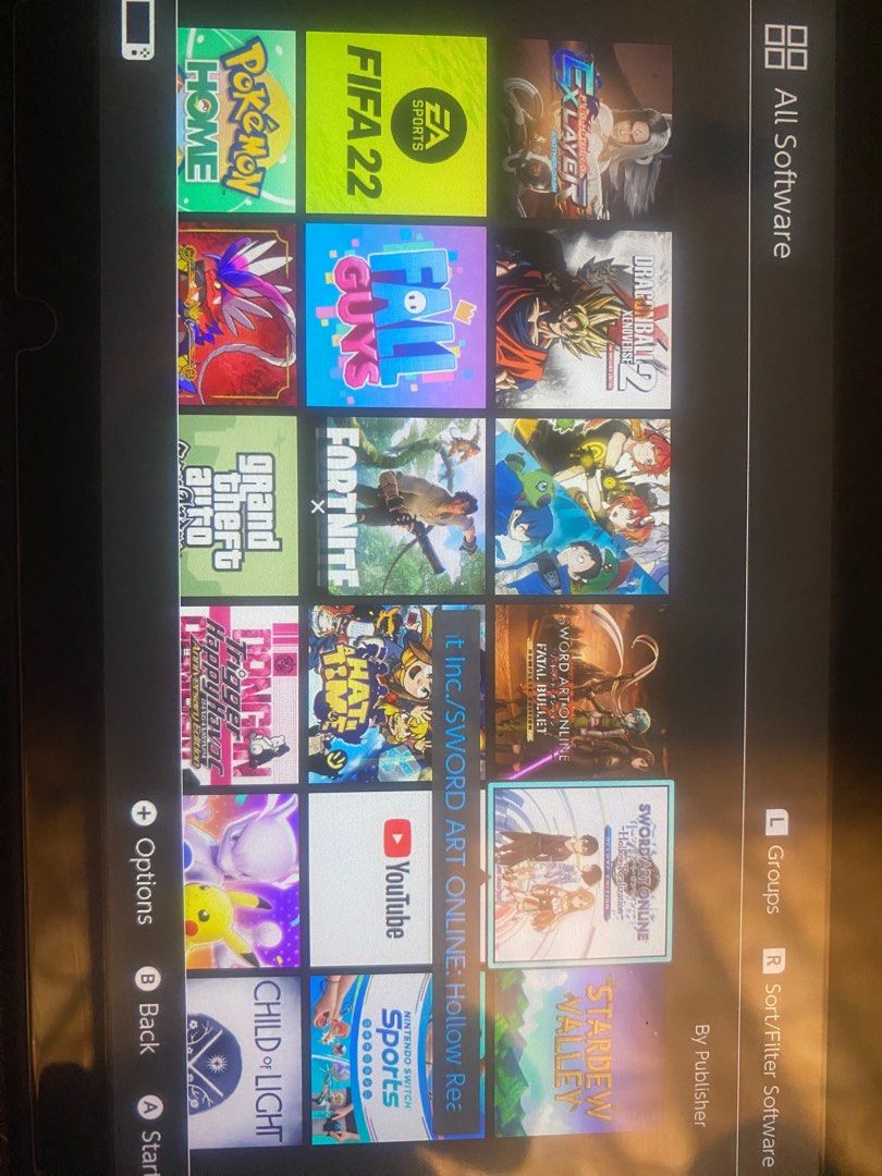 Nintendo online switch fat32
