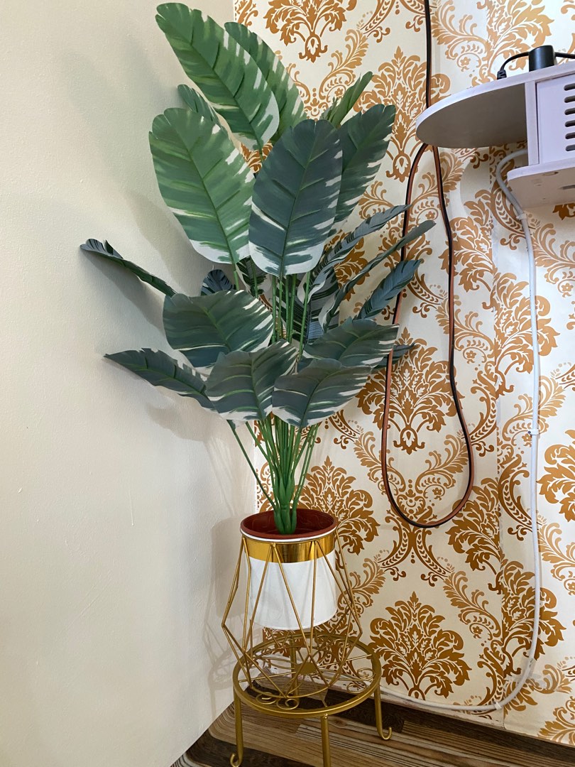 Pisang, Furniture & Home Living, Furniture, Other Home Furniture on